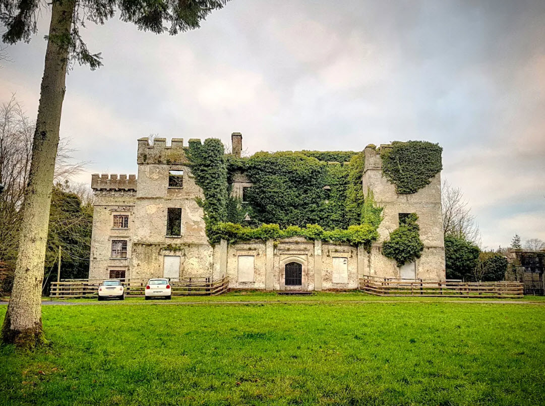 Donadea Castle, Ireland